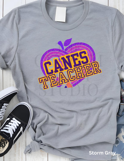 Valentines Day Gift Teacher T-Shirt: Purple Pencil Heart - Cartersville School Spirit, Christmas Gift