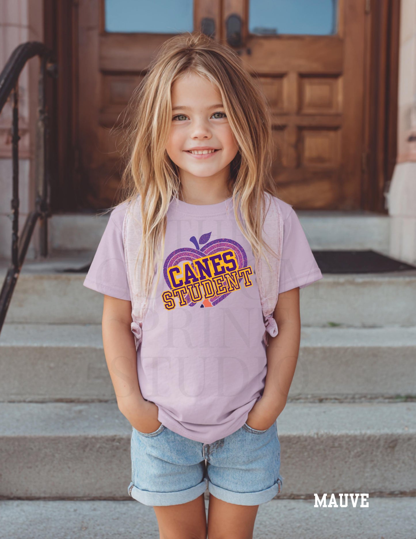 Cartersville Canes School Spirit Shirt: Customizable Grade, Hurricanes T-Shirt Valentines Day Gift