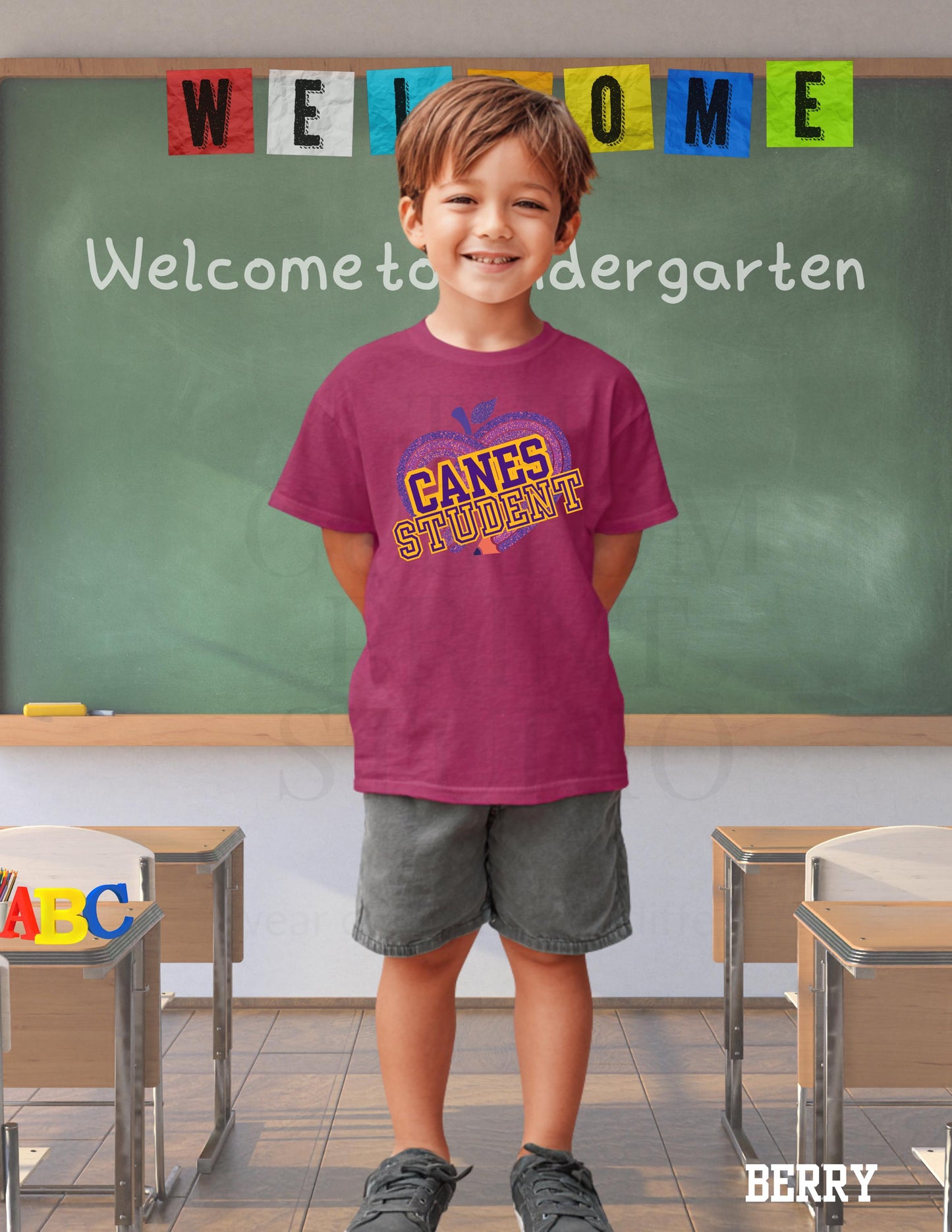 Cartersville Canes School Spirit Shirt: Customizable Grade, Hurricanes T-Shirt Valentines Day Gift