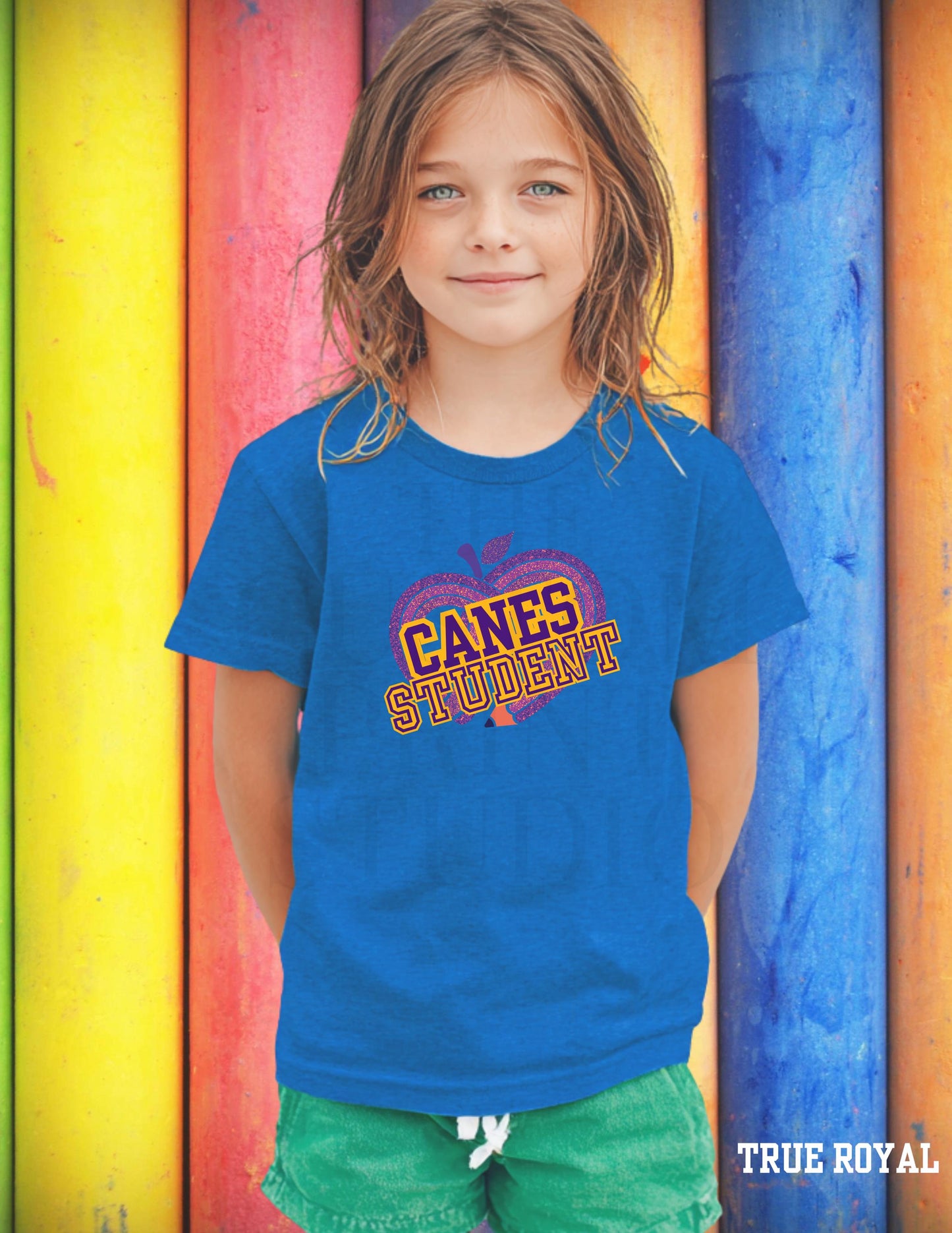 Cartersville Canes School Spirit Shirt: Customizable Grade, Hurricanes T-Shirt Valentines Day Gift