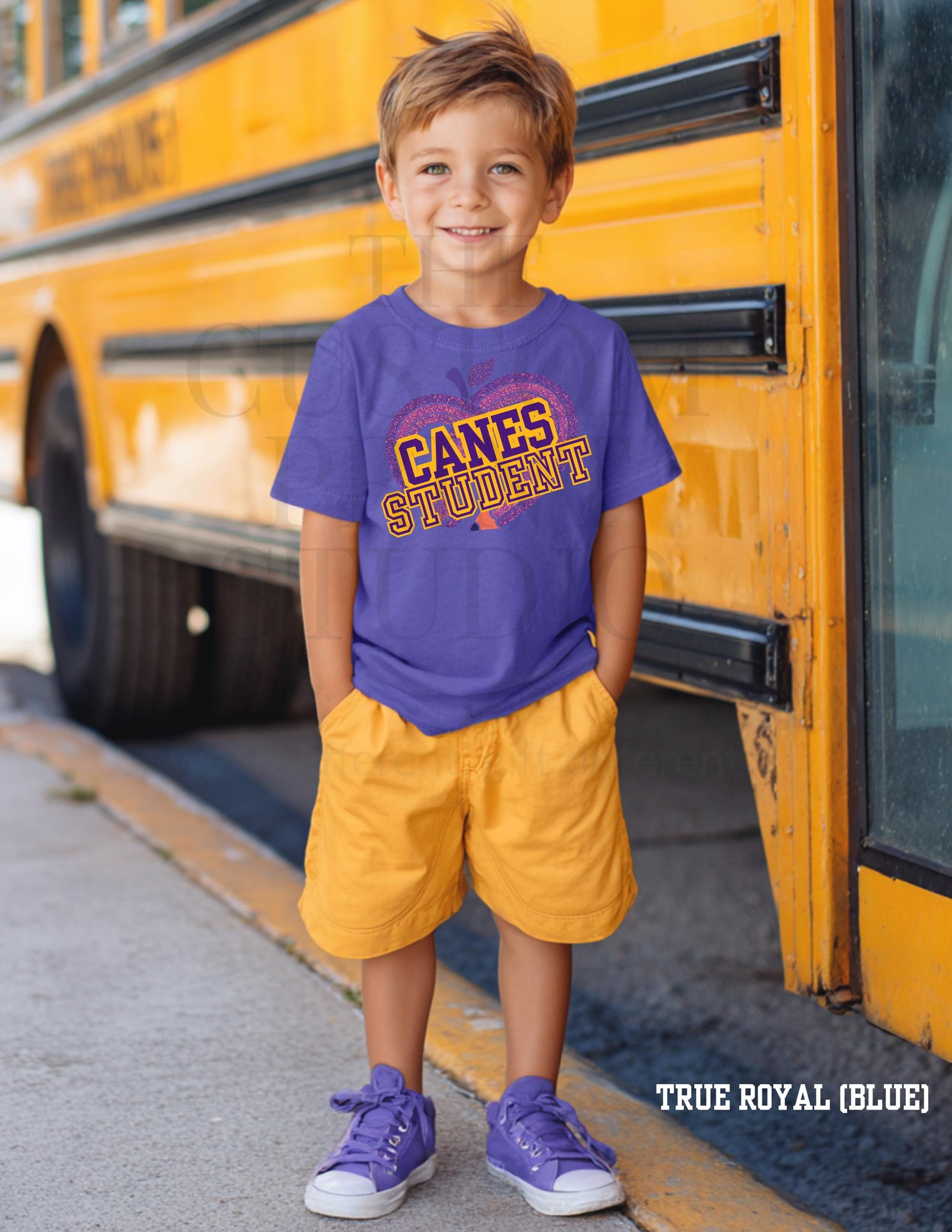 Cartersville Canes School Spirit Shirt: Customizable Grade, Hurricanes T-Shirt Valentines Day Gift
