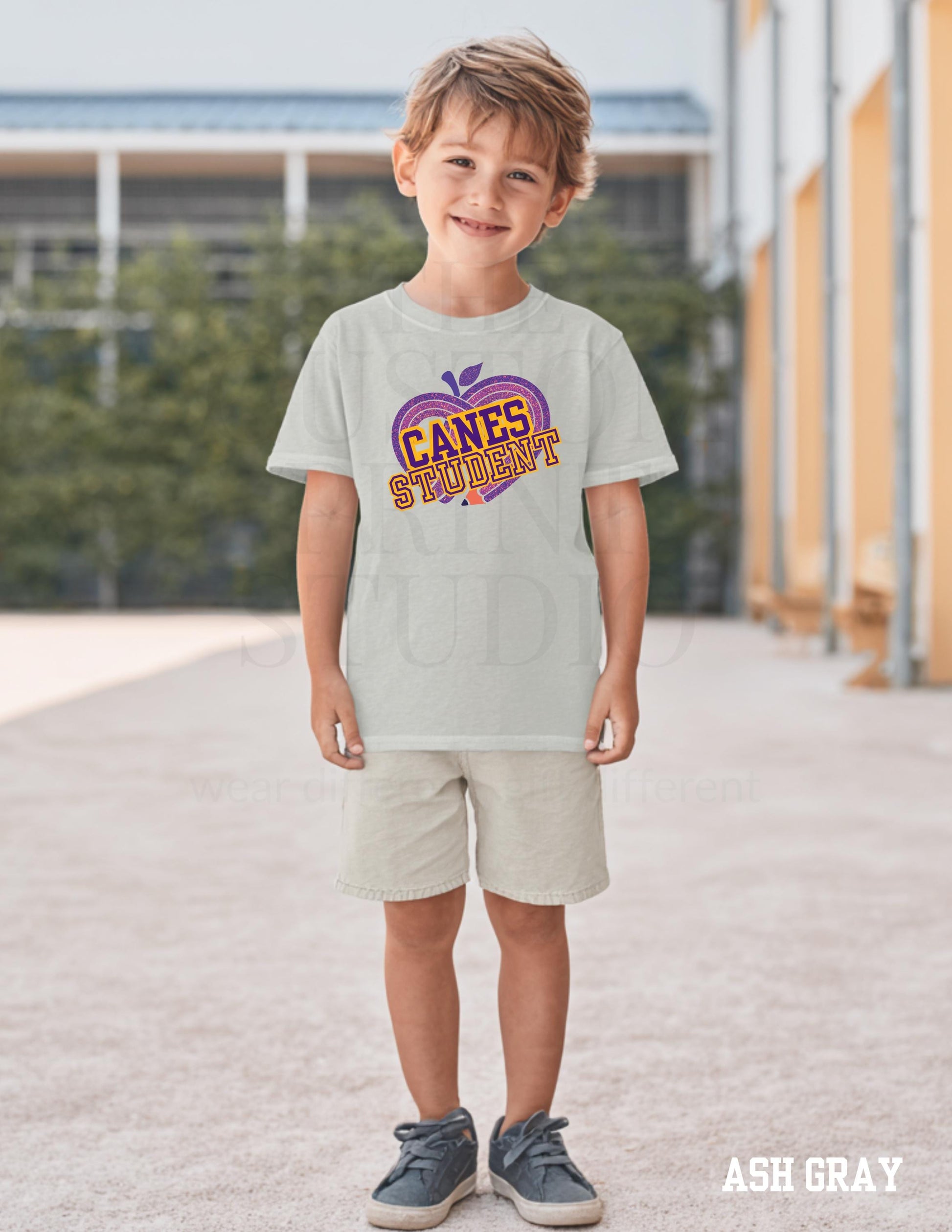 Cartersville Canes School Spirit Shirt: Customizable Grade, Hurricanes T-Shirt Valentines Day Gift