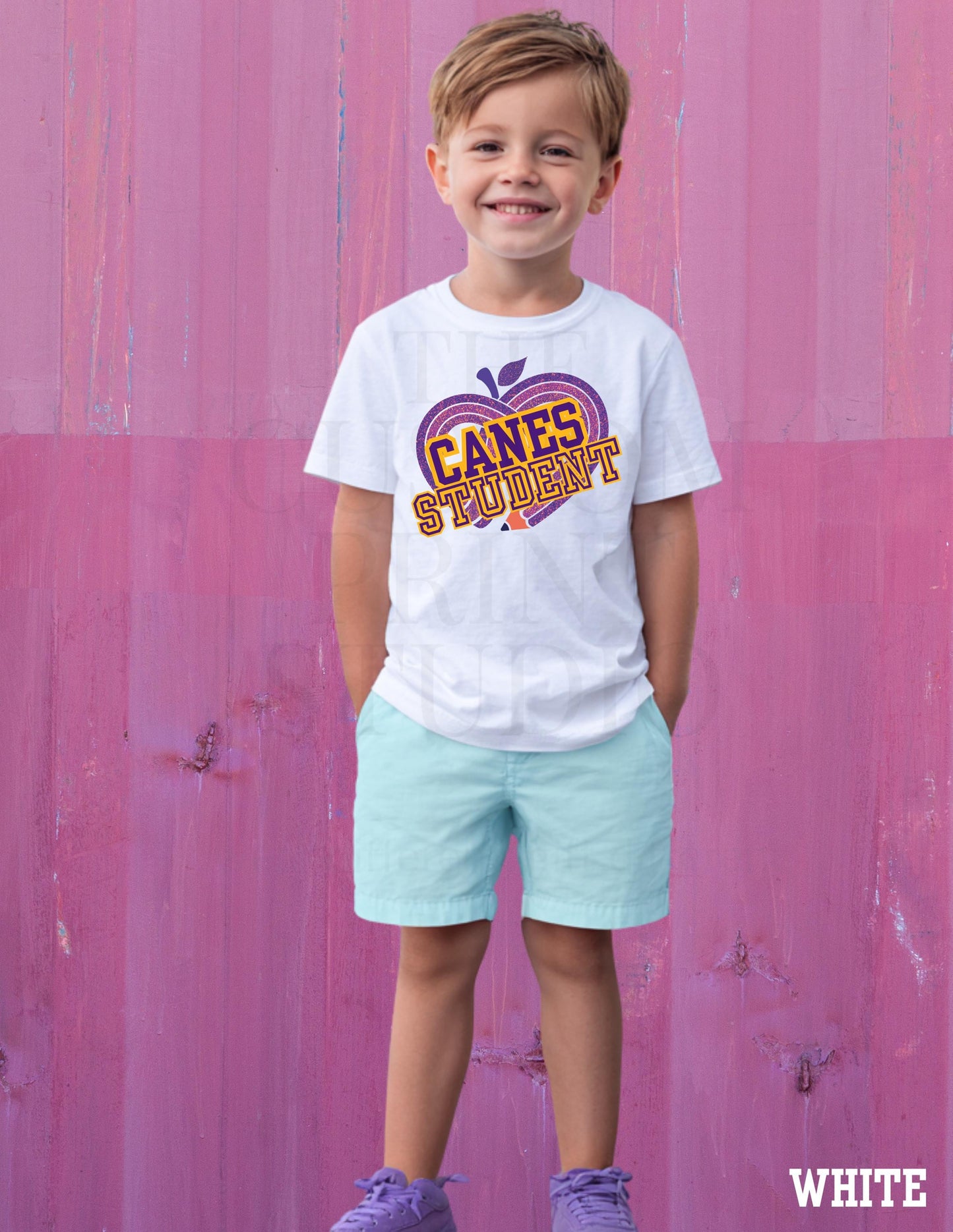 Cartersville Canes School Spirit Shirt: Customizable Grade, Hurricanes T-Shirt Valentines Day Gift
